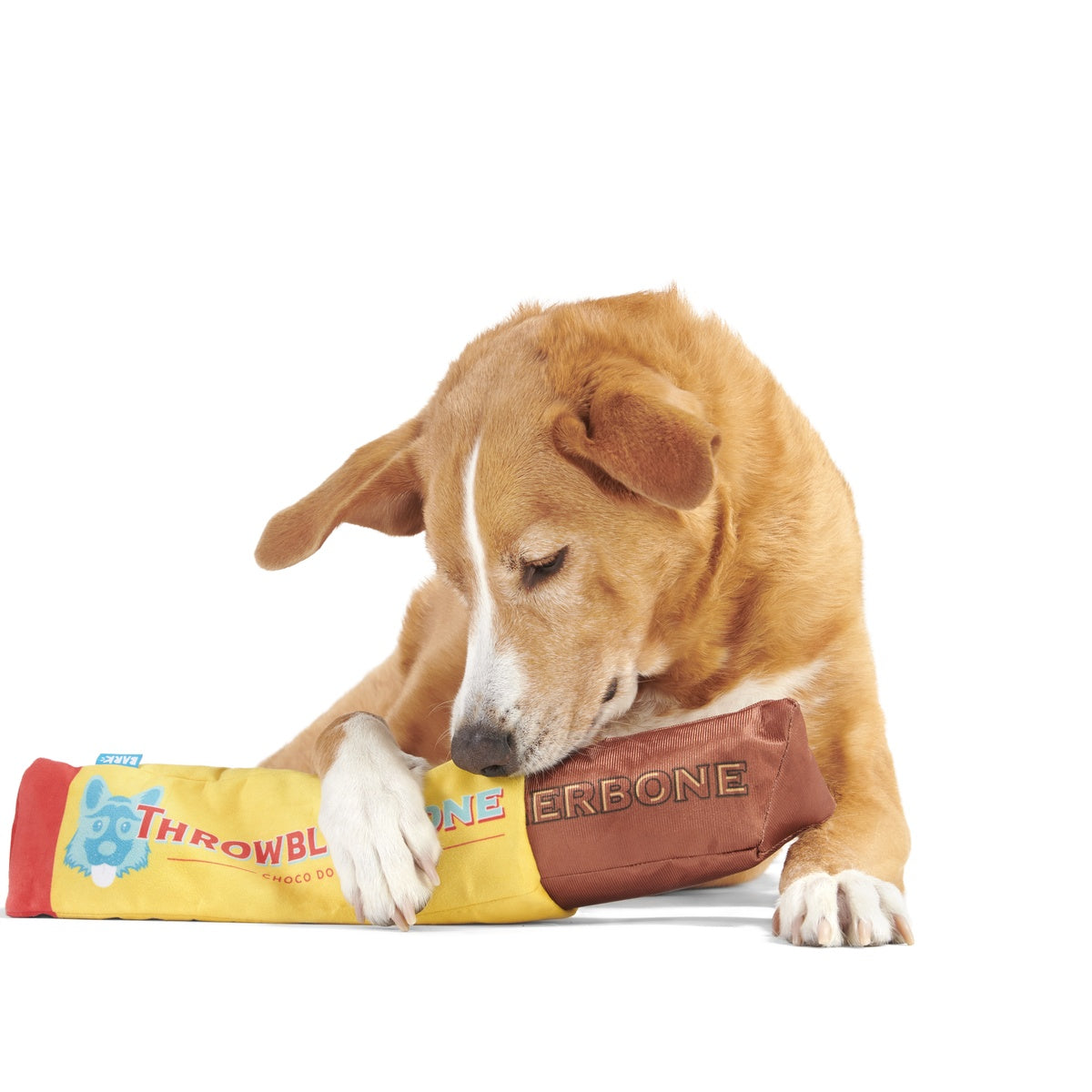 ThrowblerBone Plush Extra-Large Multi-Part + Enrichment Dog Toy