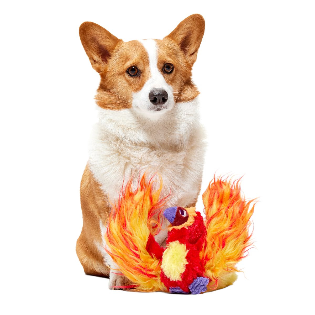 Fawkes™ Plush Tug Dog Toy