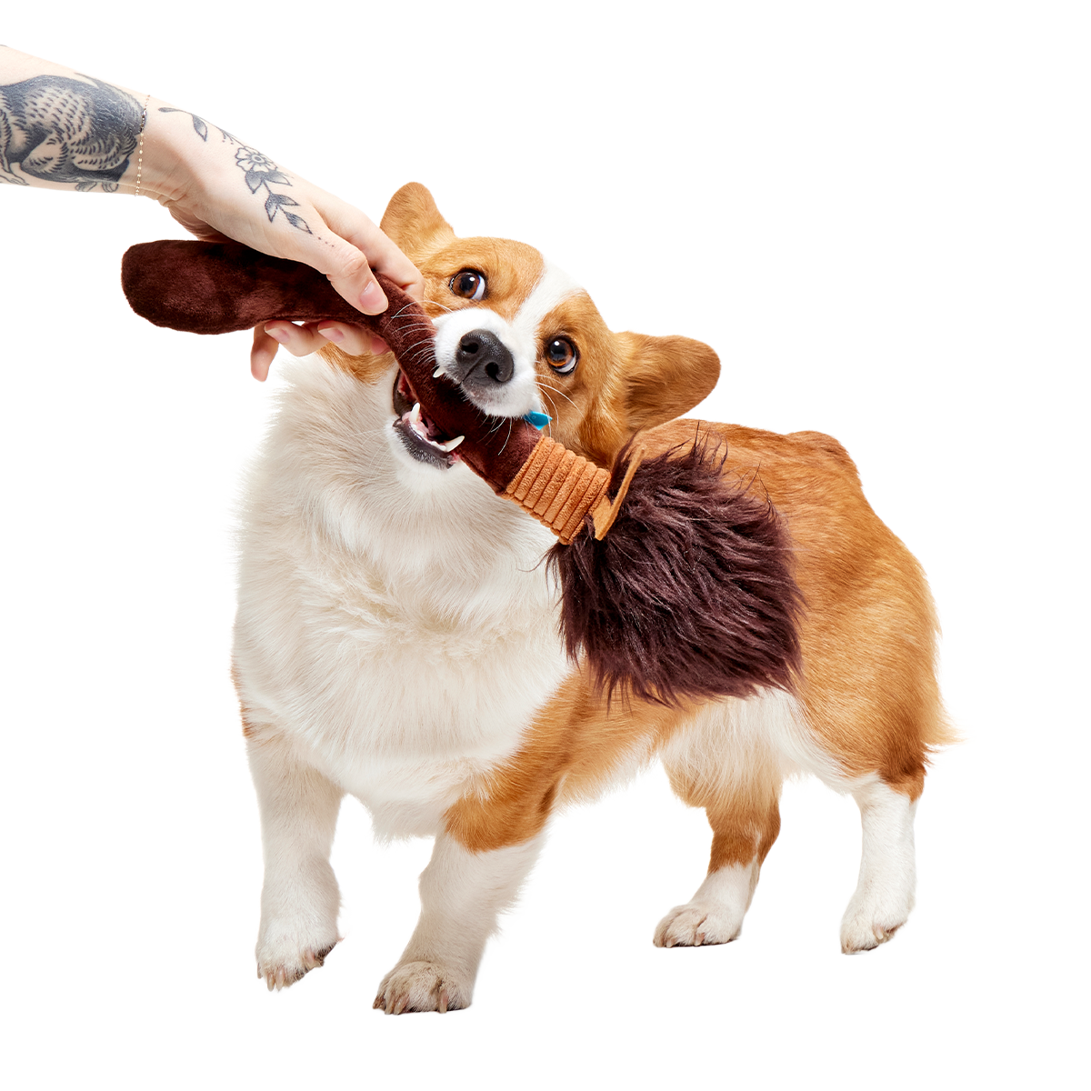 Nimbus 2000™ Broomstick Plush Tug Dog Toy