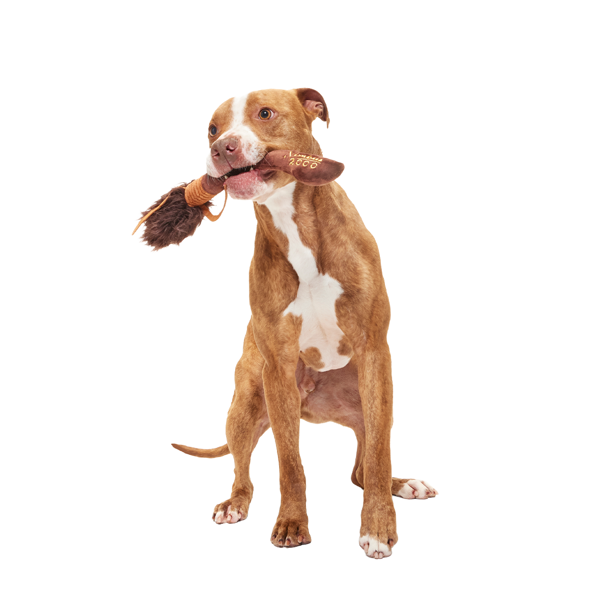 Nimbus 2000™ Broomstick Plush Tug Dog Toy