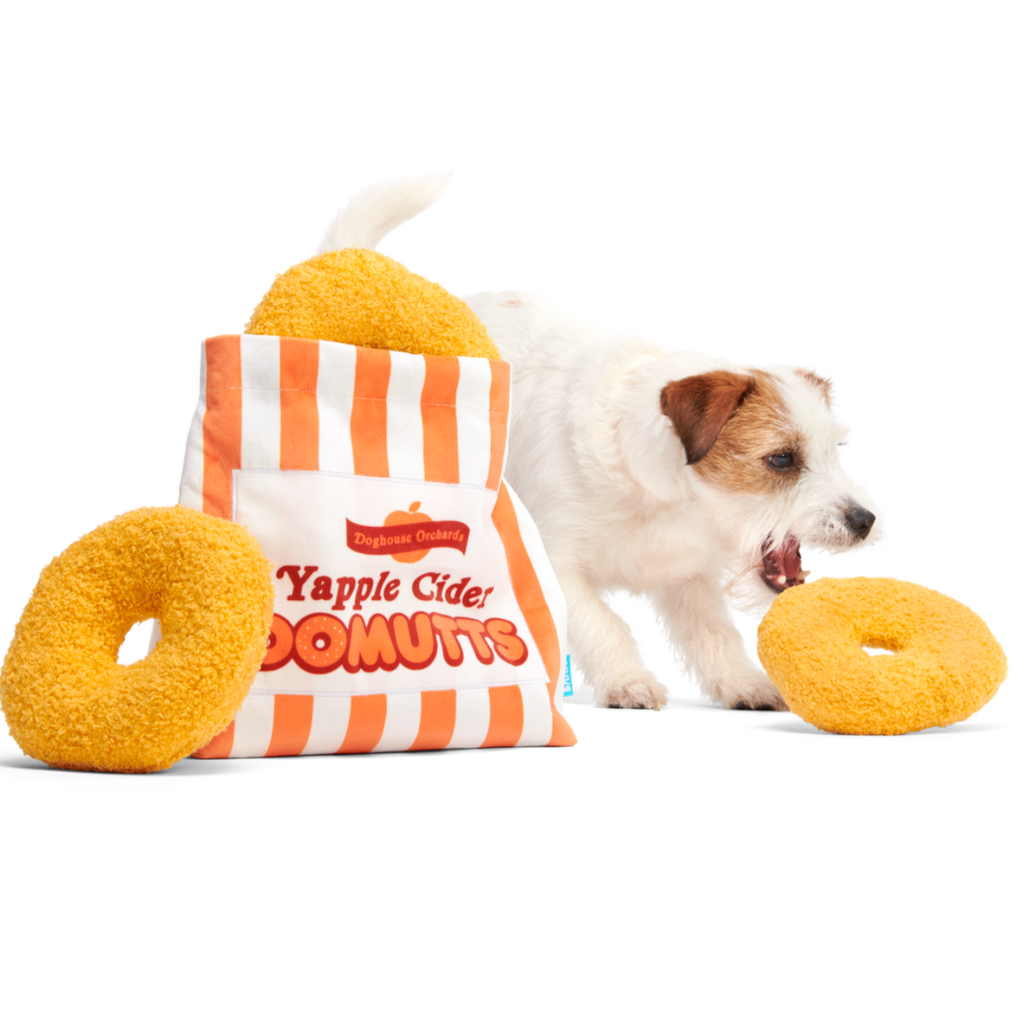 Yapple Cider Domutts Plush Extra-Large + Enrichment + Multi-Part