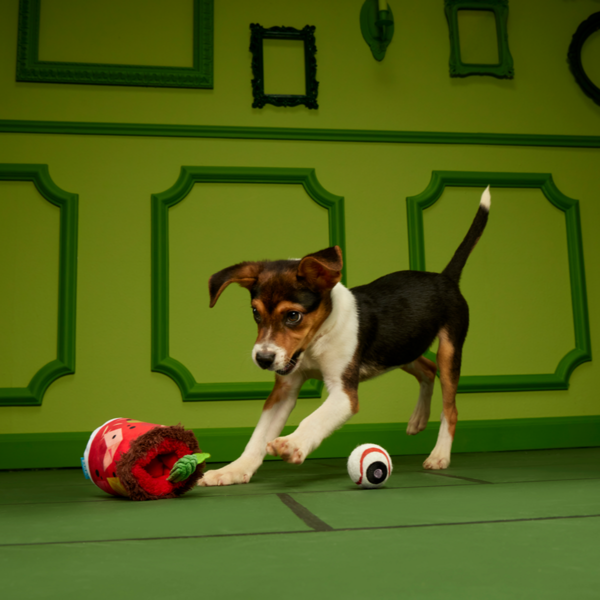 Cocktail Club, Plush Cocktail Monthly Dog Toys