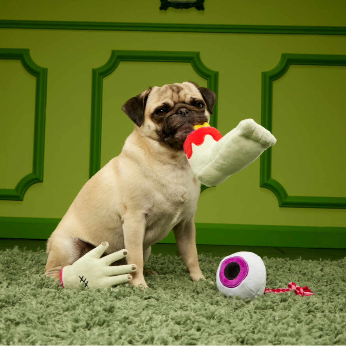 The Part-y Pack Plush Multi-Part + Tug Dog Toy