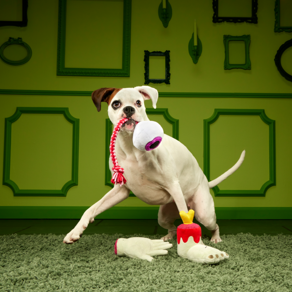 The Part-y Pack Plush Multi-Part + Tug Dog Toy