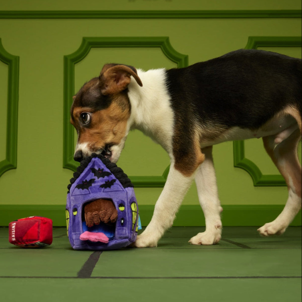 Squeak Street Trick-or-Treat Plush Multi-Part Dog Toy