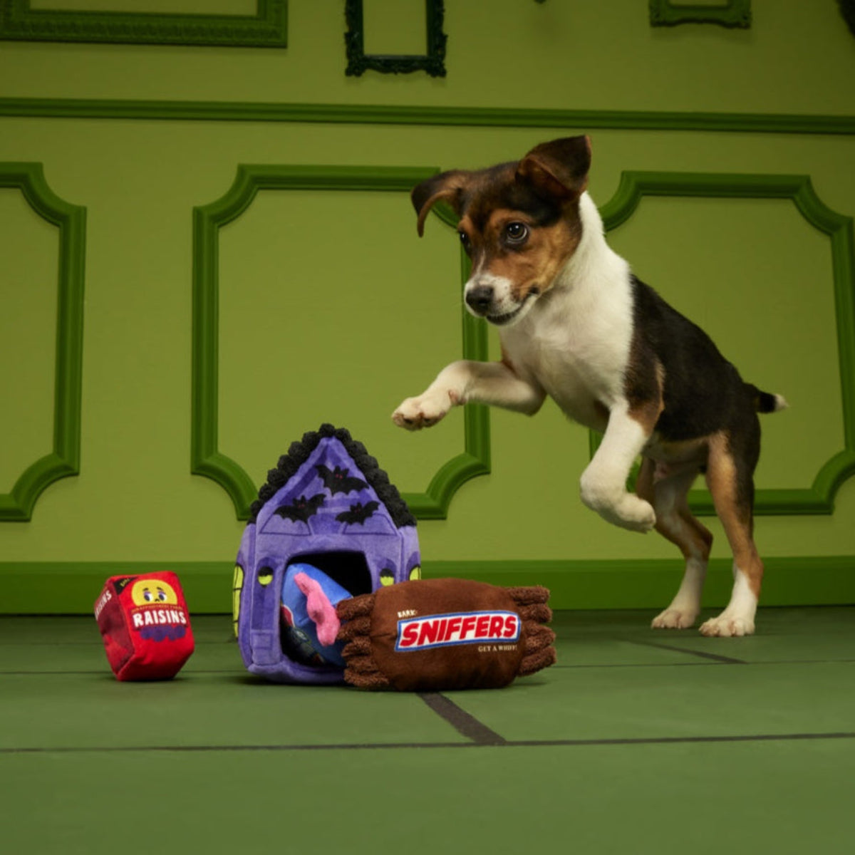 Squeak Street Trick-or-Treat Plush Multi-Part Dog Toy