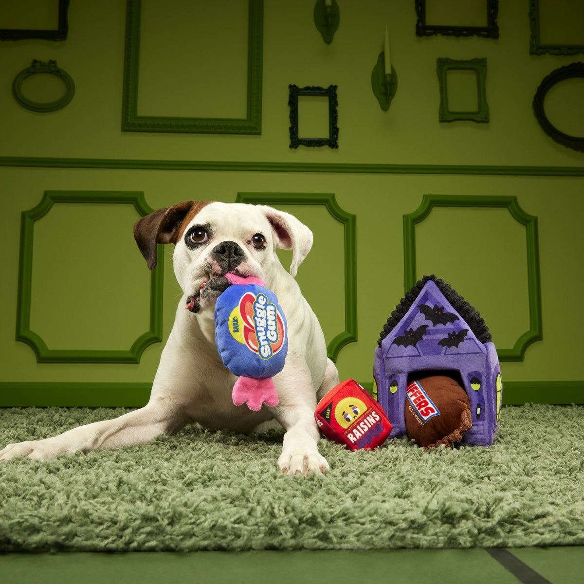 Squeak Street Trick-or-Treat Plush Multi-Part Dog Toy