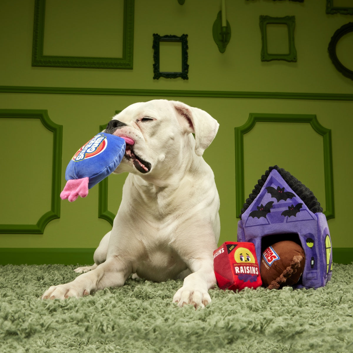 Squeak Street Trick-or-Treat Plush Multi-Part Dog Toy