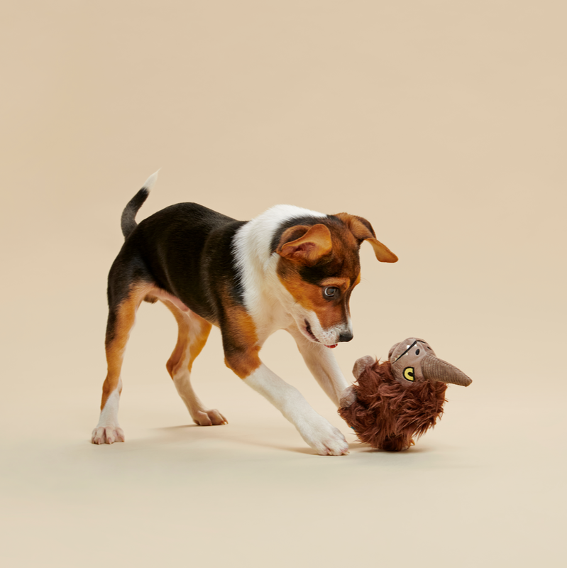 Wooly Bully Mudhorn™