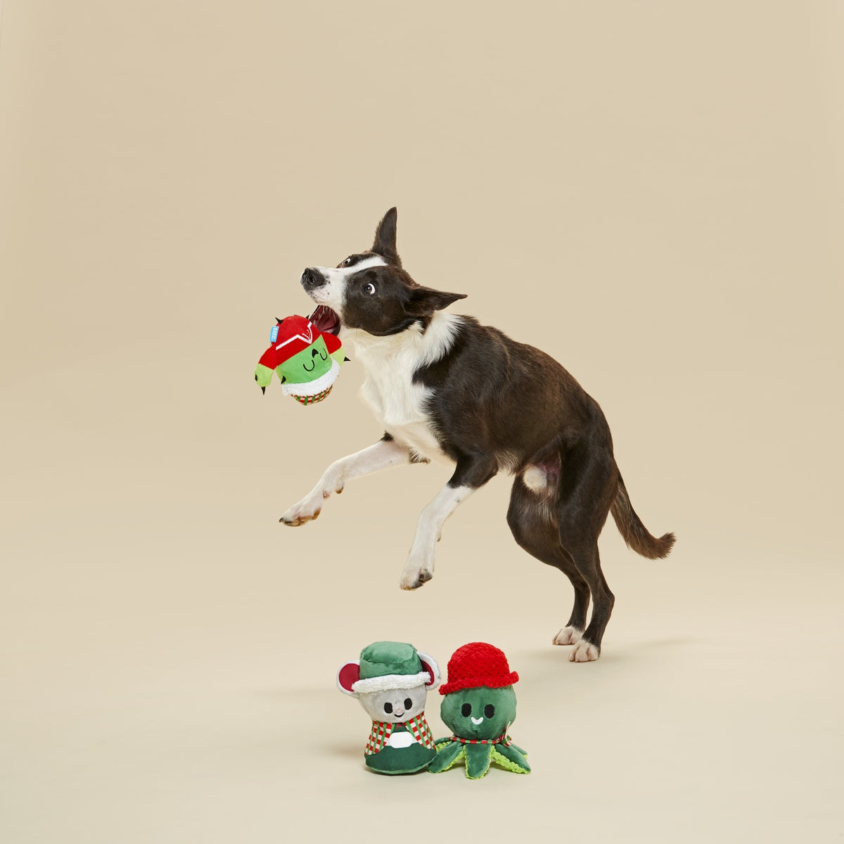 Sing Song Ding Dongs Multipart Plush Dog Toy