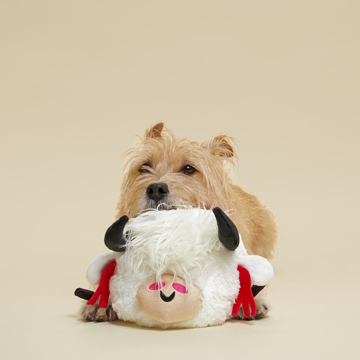 Yeshe the Yak Plush Extra-Large + Tug Dog Toy – BARK