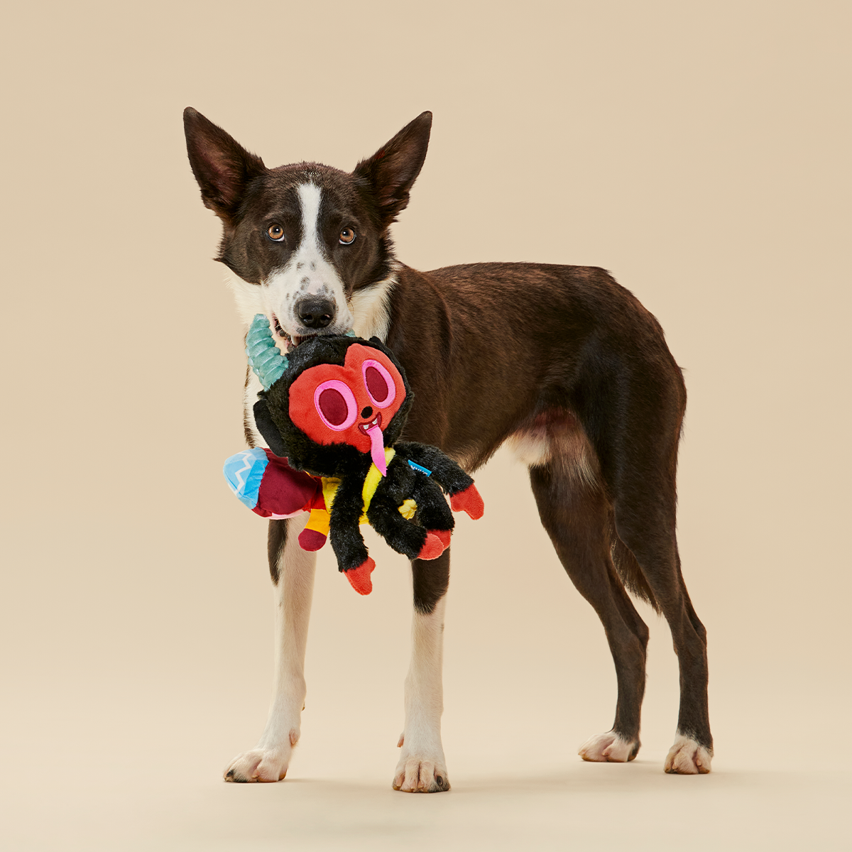 Merry Krampus Plush Multi-Part + Tug Dog Toy