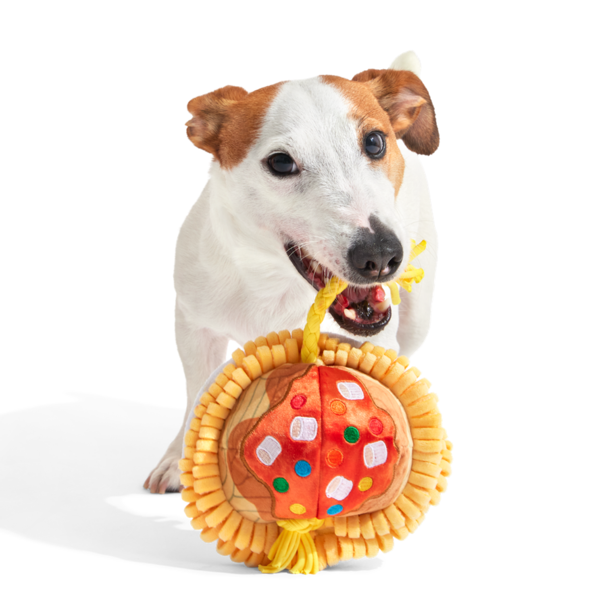 Candy Squeakghetti Plush Tug Dog Toy