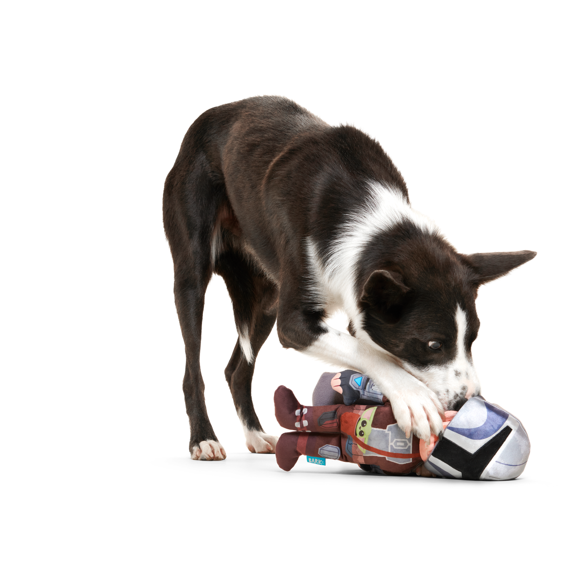 The Mandalorian™ Bounty Fetcher Plush Tug + Multi-Part Dog Toy