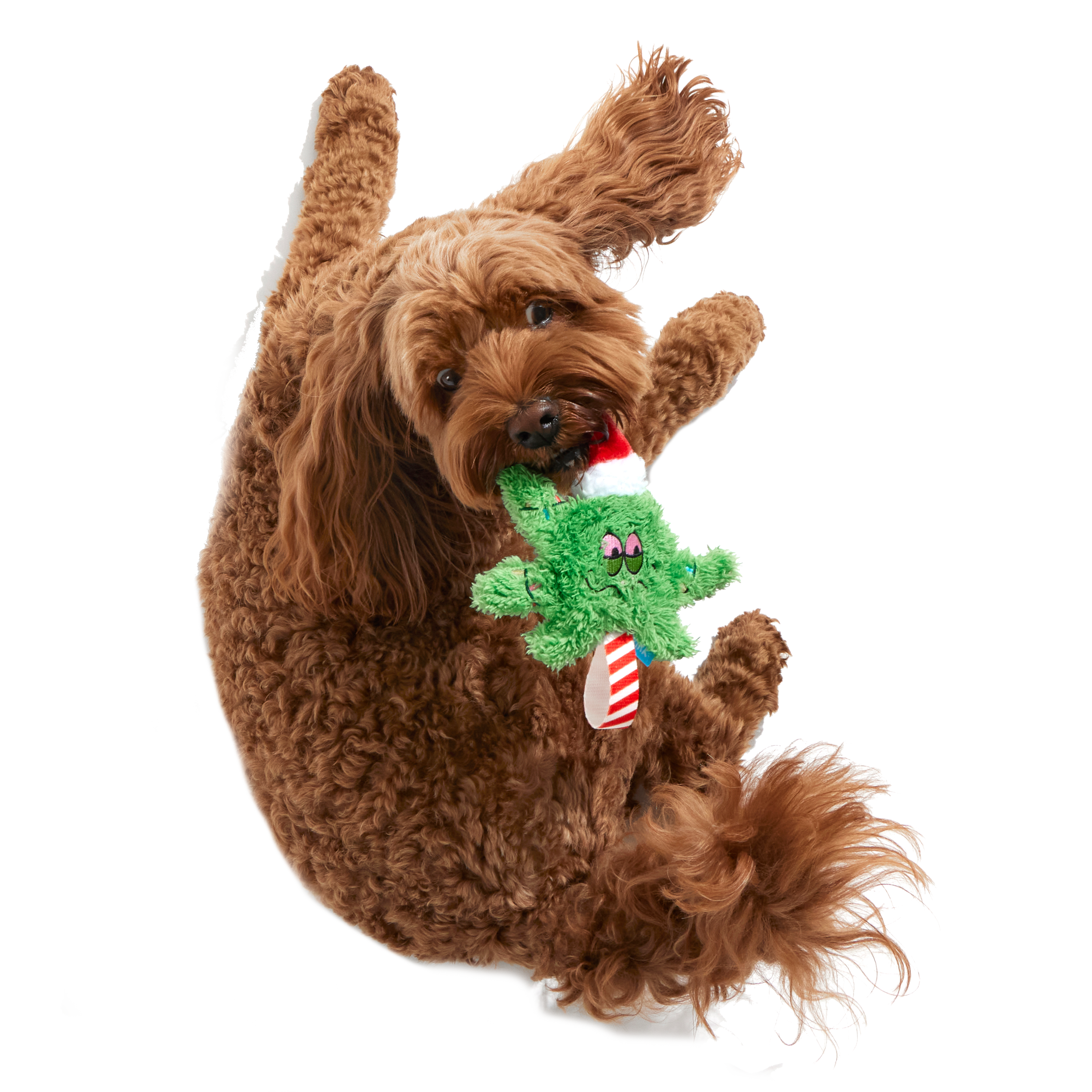 Herbie Holidaze Tug Plush Dog Toy