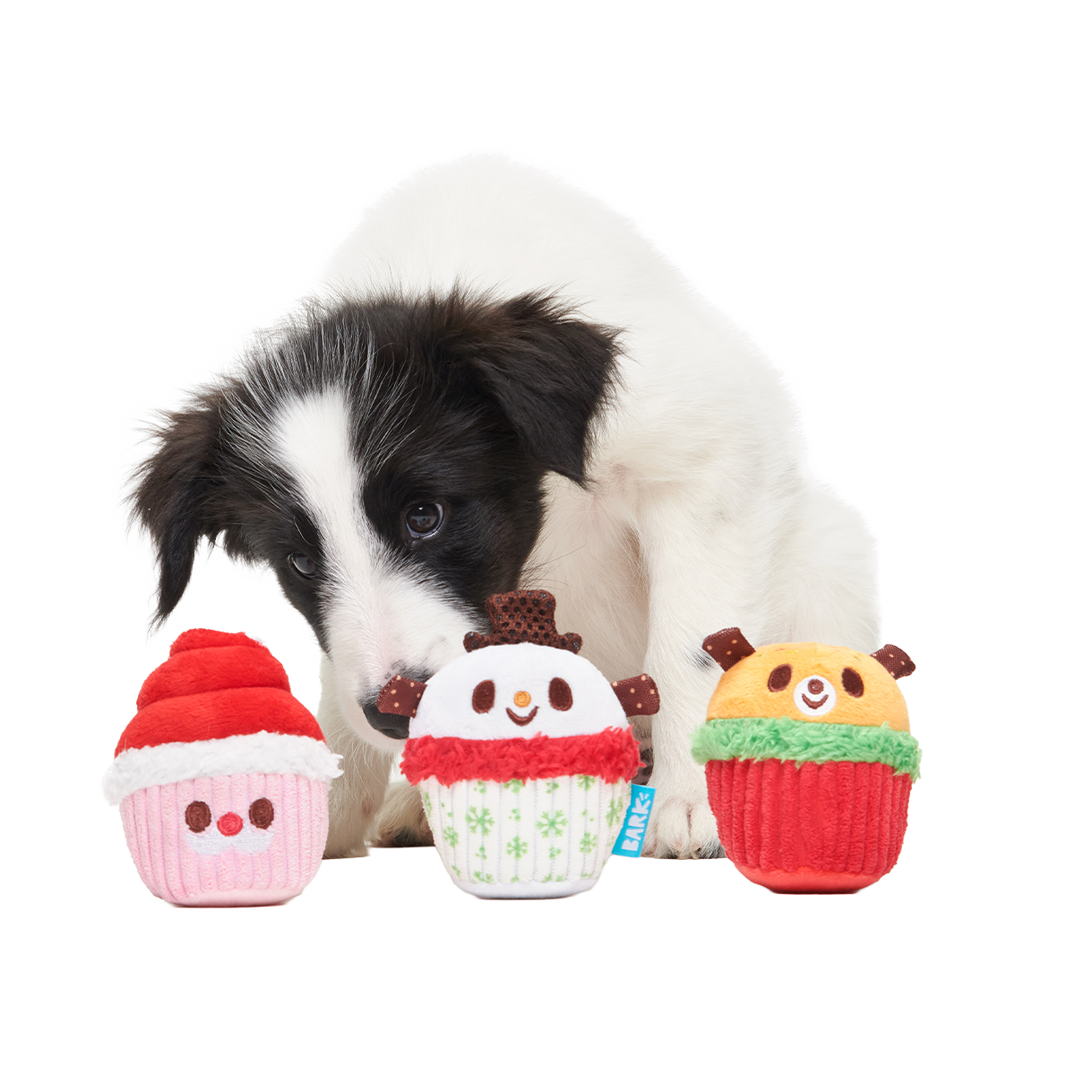 Merry Cupcakes Plush Multi-Part Dog Toy