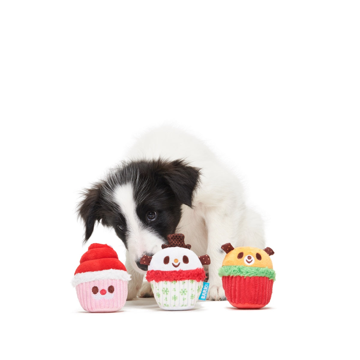 Merry Cupcakes Plush Multi-Part Dog Toy – BARK
