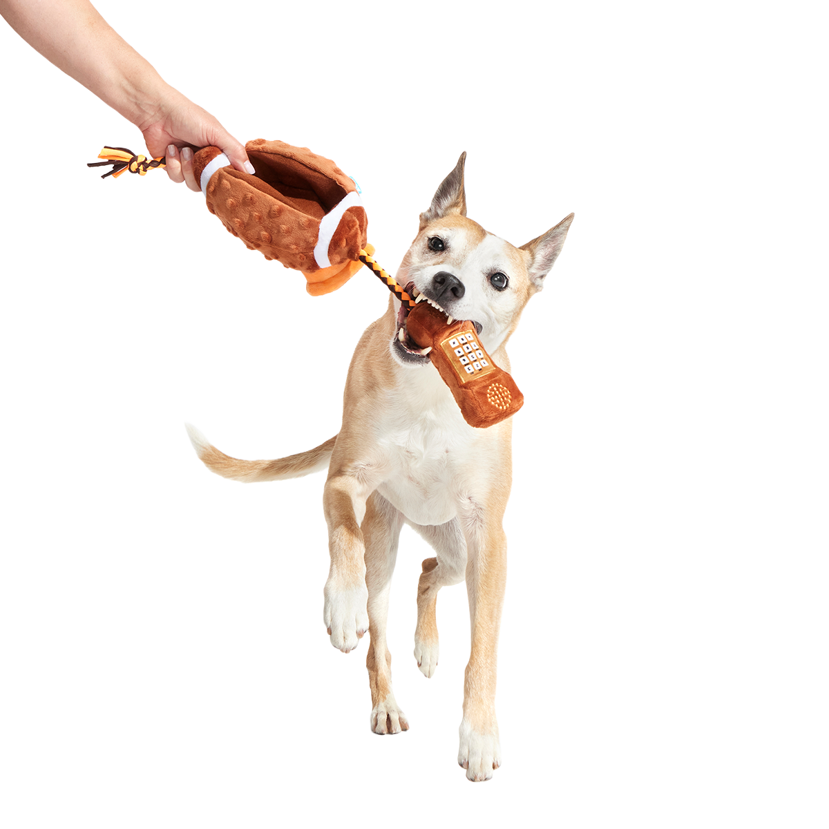 Go Long Distance Call Plush Tug Dog Toy