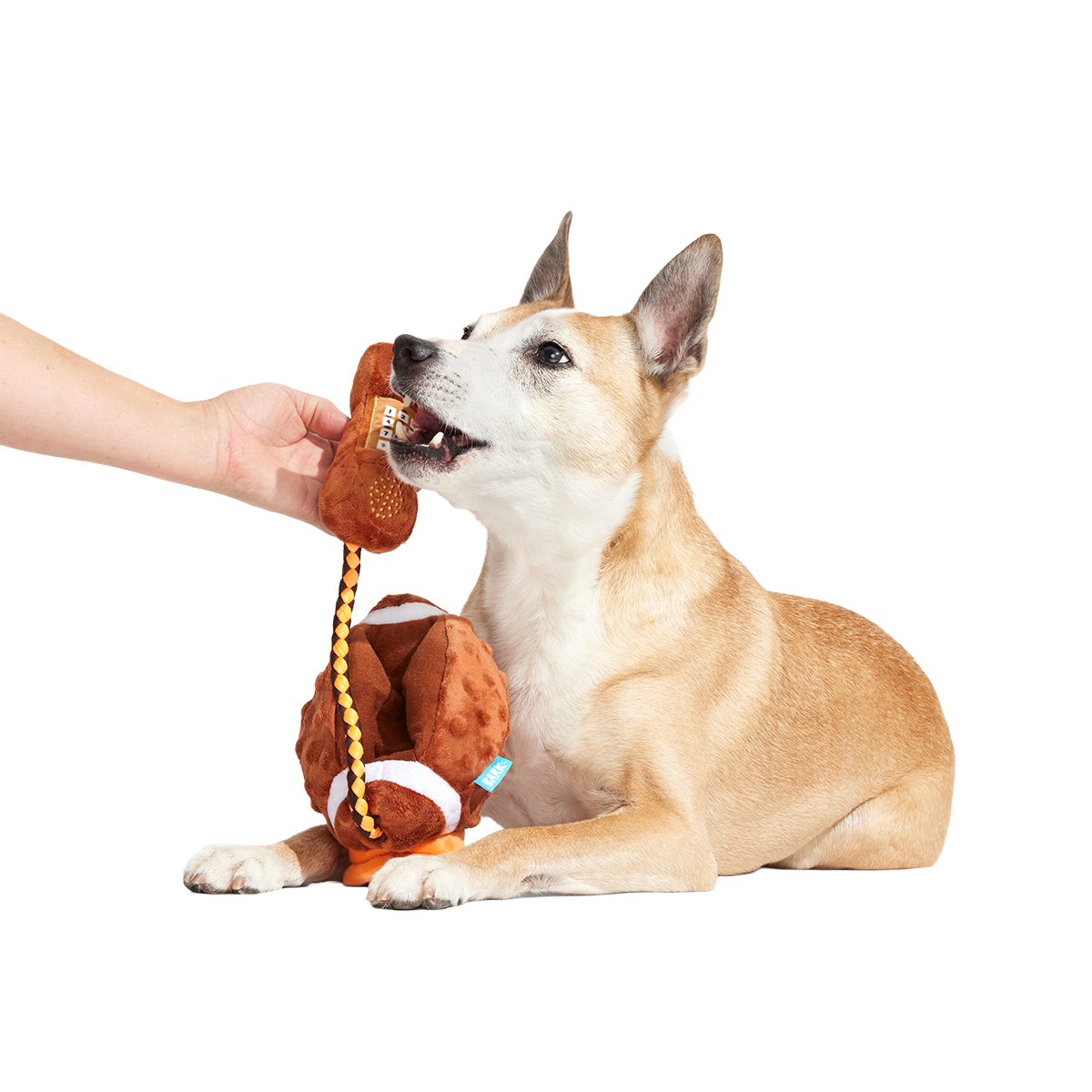 Go Long Distance Call Plush Tug Dog Toy