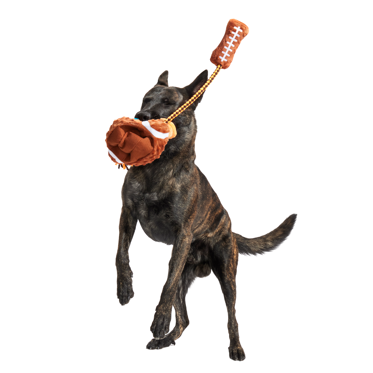 Go Long Distance Call Plush Tug Dog Toy