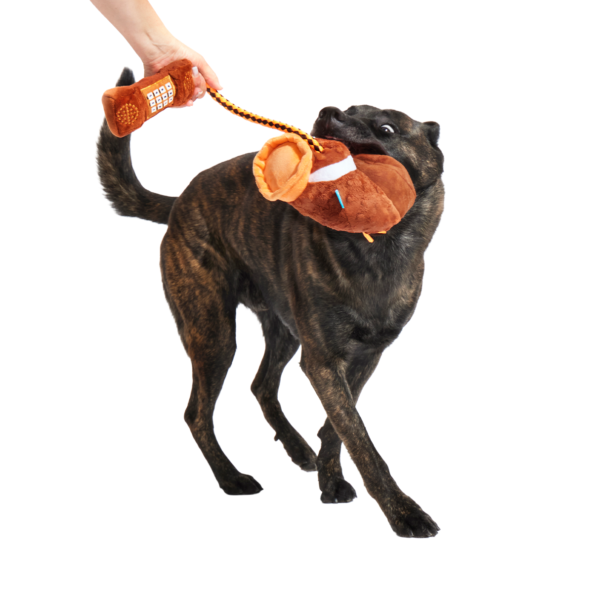 Go Long Distance Call Plush Tug Dog Toy
