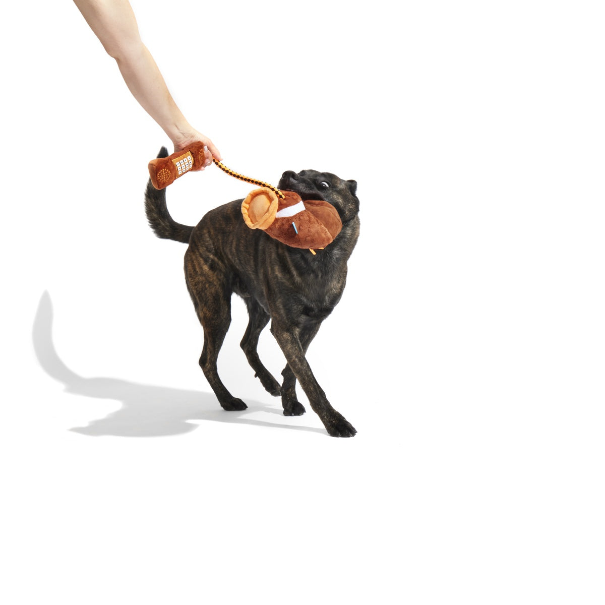 Go Long Distance Call