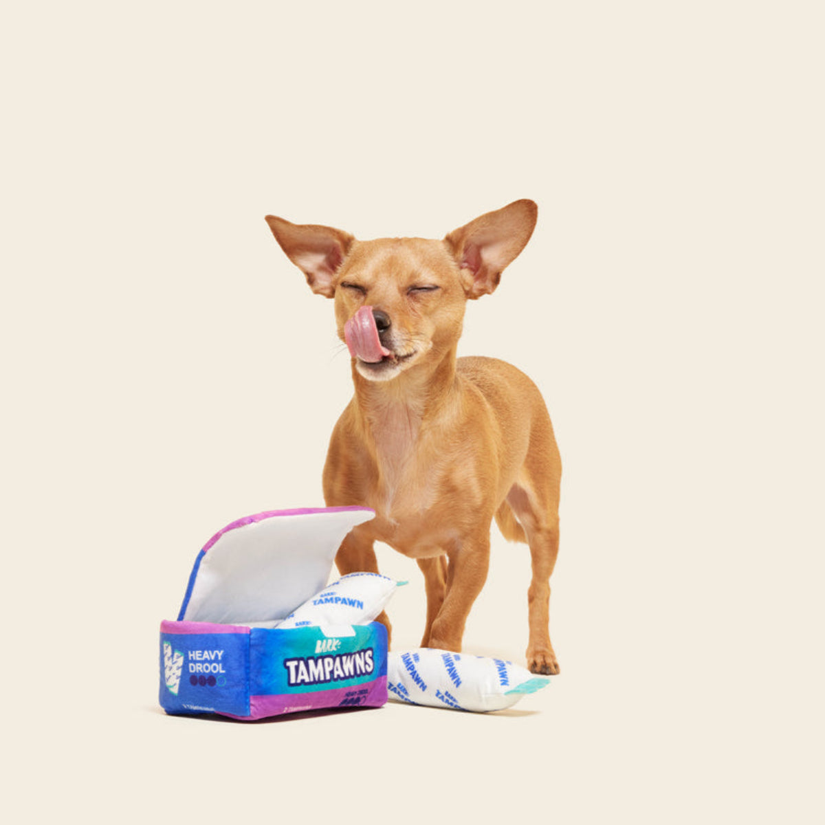 Tampawns Plush Multi-Part + Enrichment Dog Toy