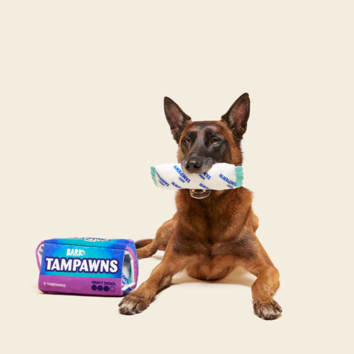 Tampawns Plush Multi-Part + Enrichment Dog Toy