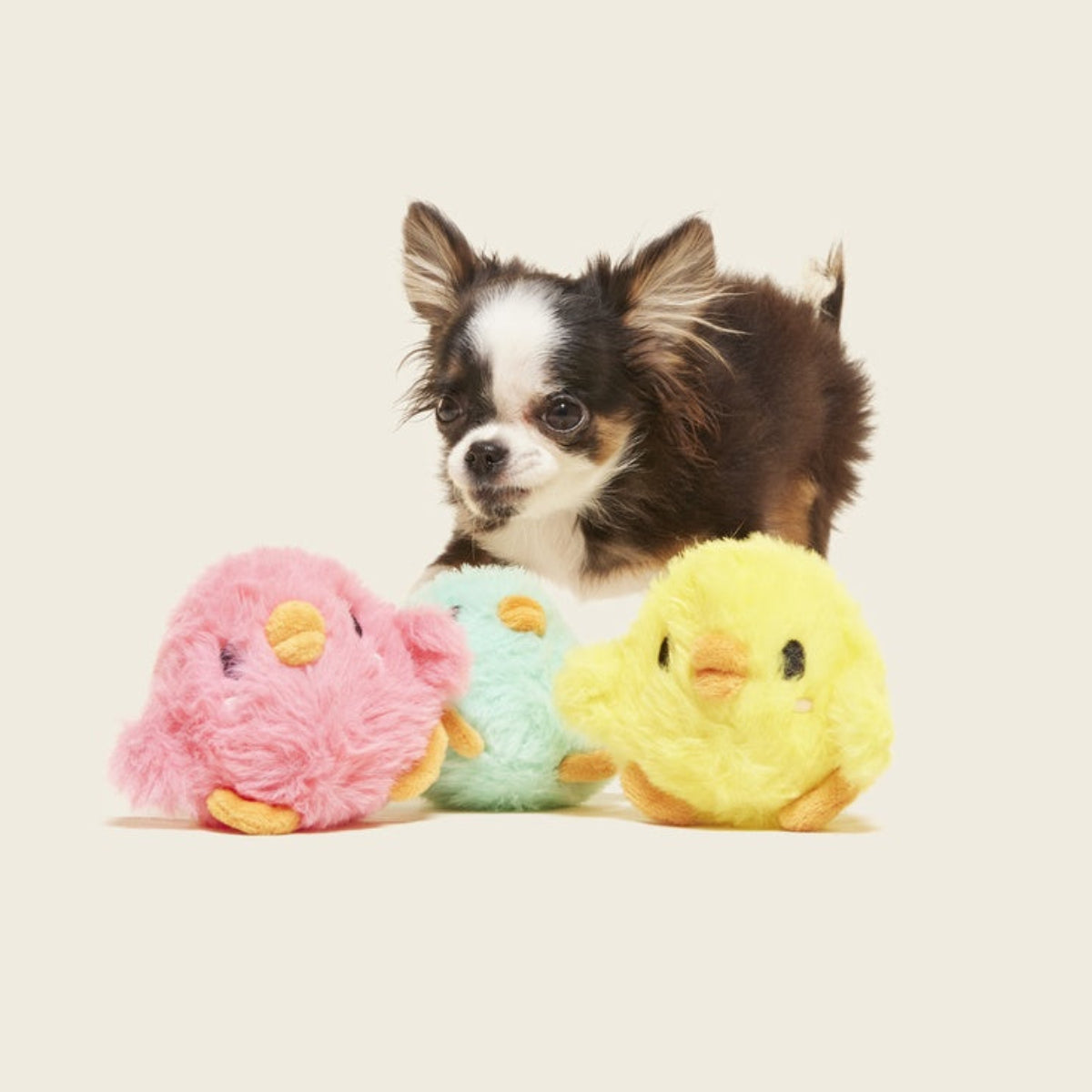The Licksy Chicks Plush Multi-Part + Fetch Dog Toy – BARK