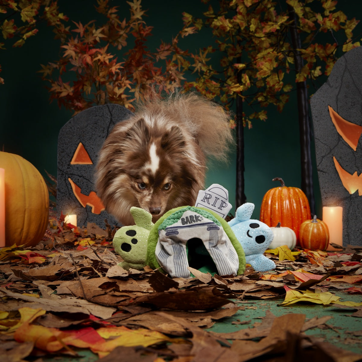Now You See 'Em Mausoleum Plush Multi-Part + Enrichment Dog Toy – BARK