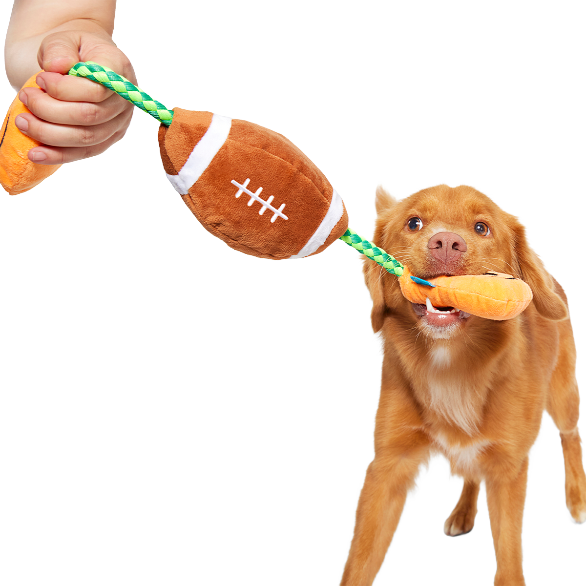 Touchdown Tug Plush Dog Toy