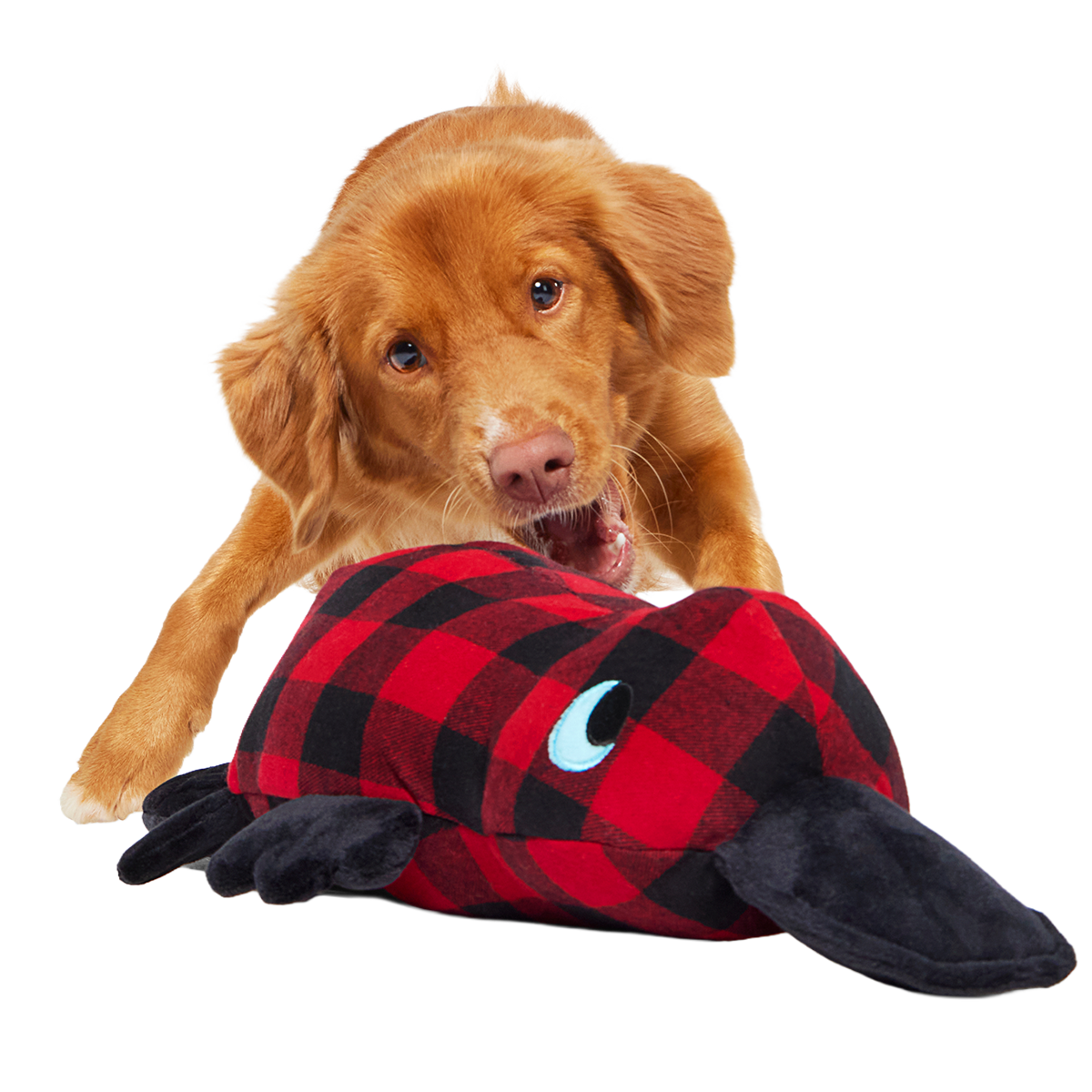 Plaidypus Plush XXL 2-in-1 + Tug Dog Toy