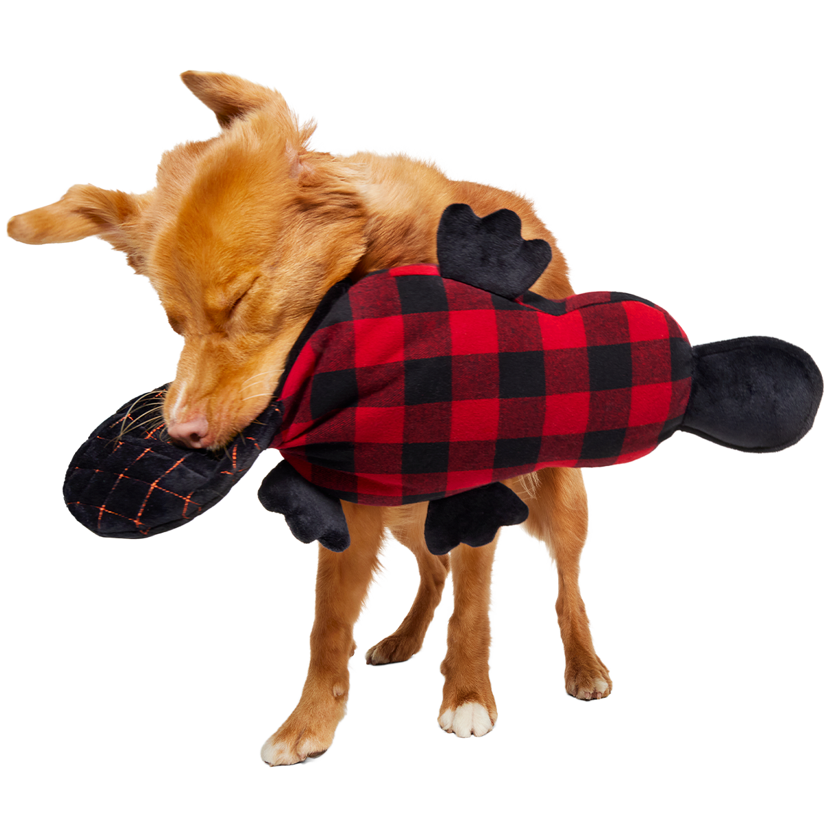 Plaidypus Plush XXL 2-in-1 + Tug Dog Toy