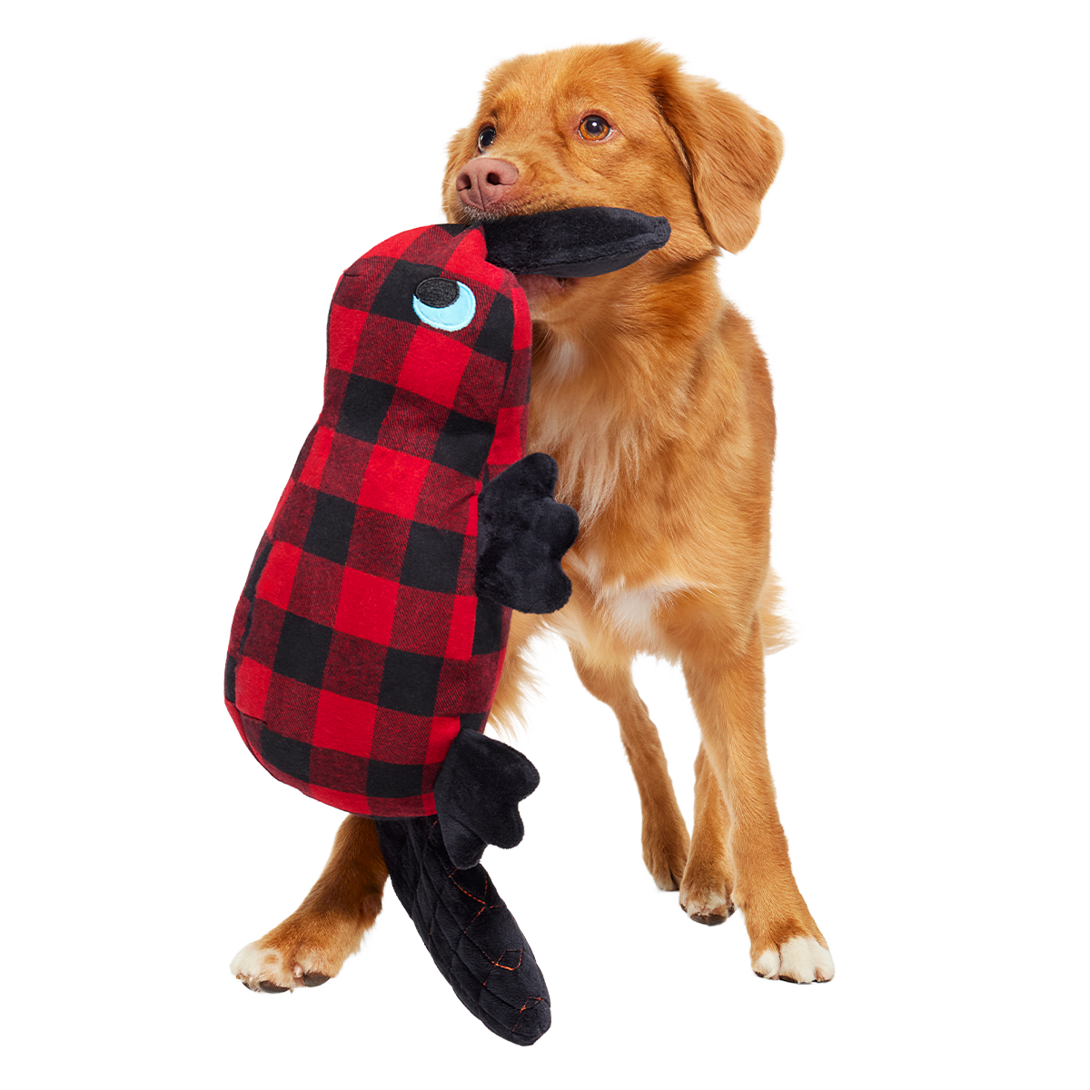 Plaidypus Plush XXL 2-in-1 + Tug Dog Toy