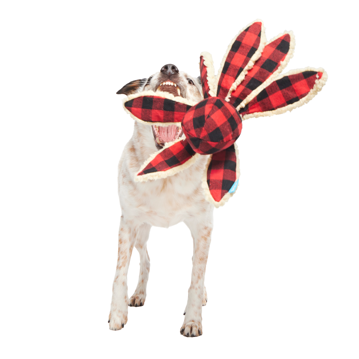 Plaid Ollie the Octopus Plush Tug Dog Toy