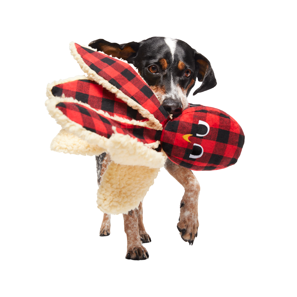 Plaid Ollie the Octopus Plush Tug Dog Toy