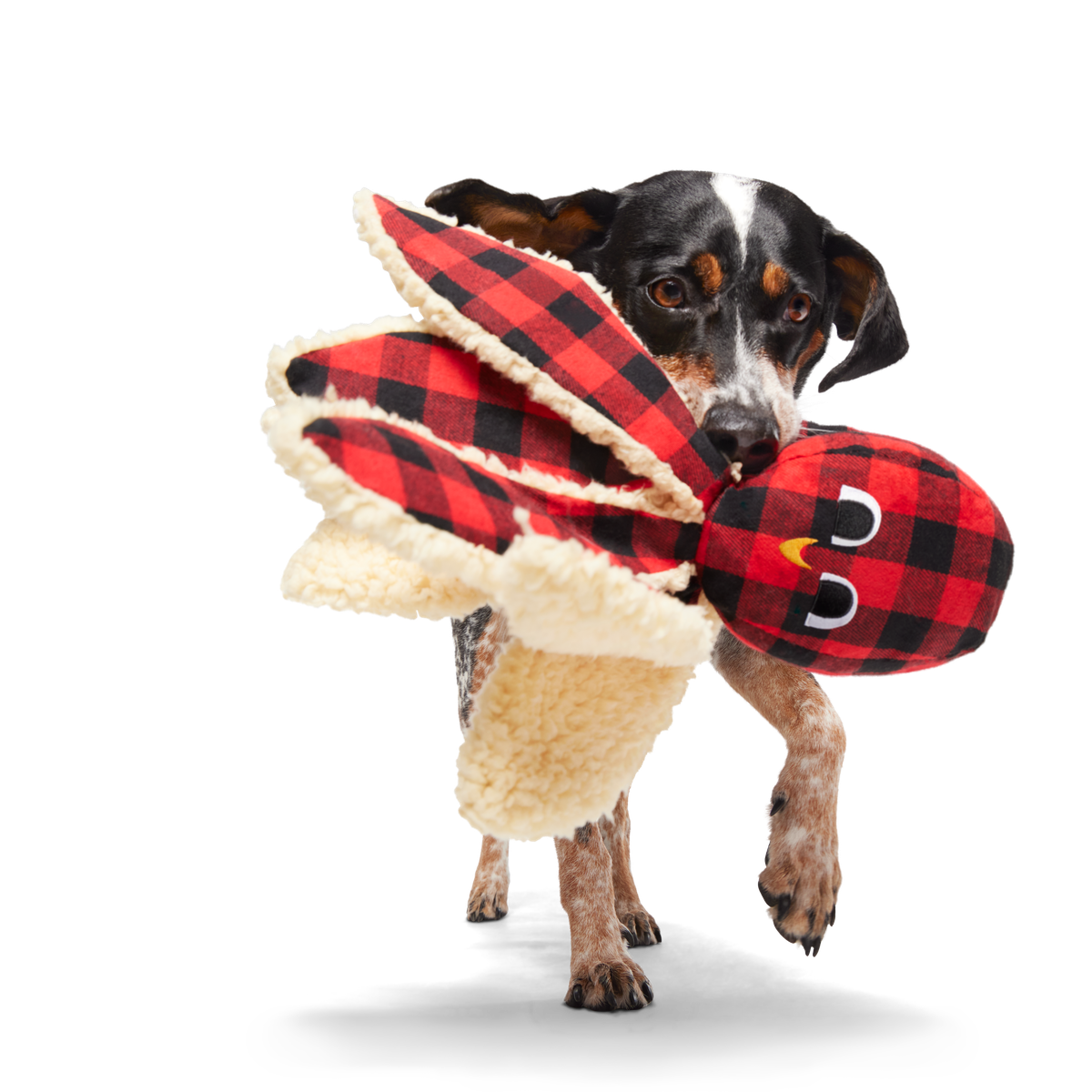 Plaid Ollie the Octopus Whip-n-Flip Plush Dog Toy