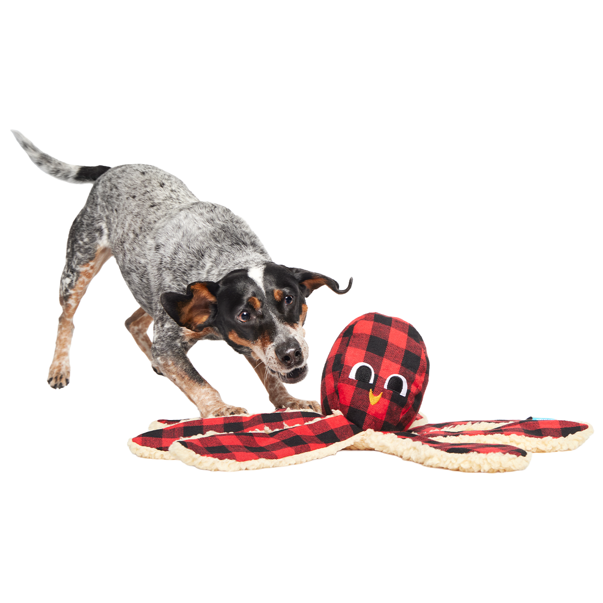 Plaid Ollie the Octopus Plush Tug Dog Toy