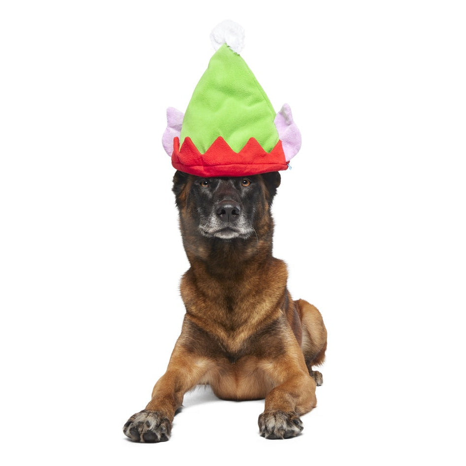 Santa's Little Yelper