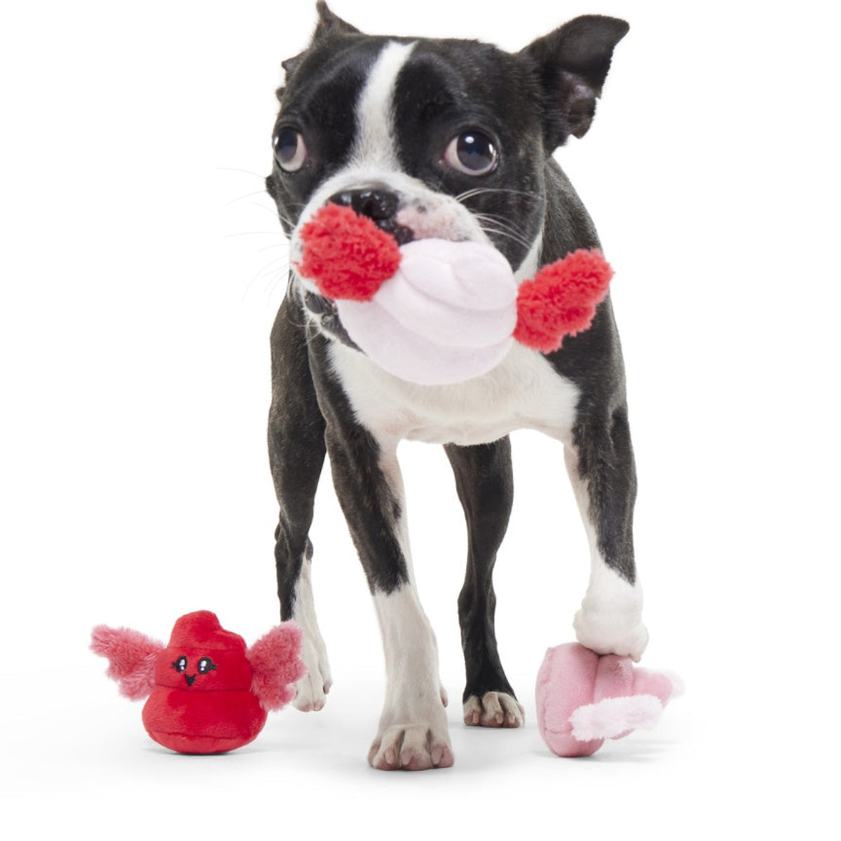 Poopids Plush Multi-Part Dog Toy – BARK