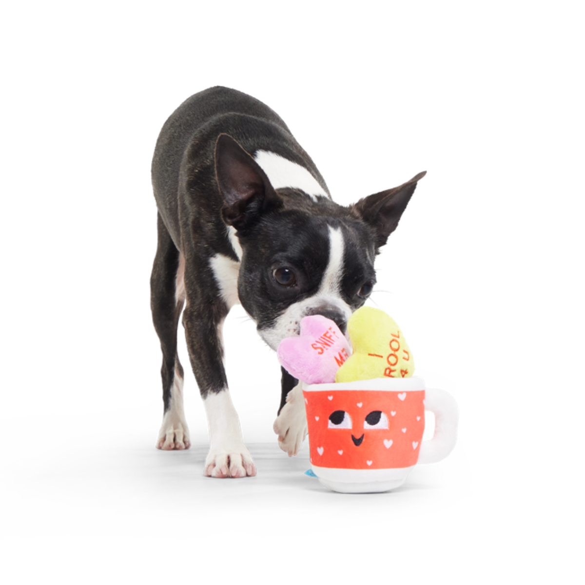 Mugs n' Kisses Plush Multi-Part + Enrichment Dog Toy