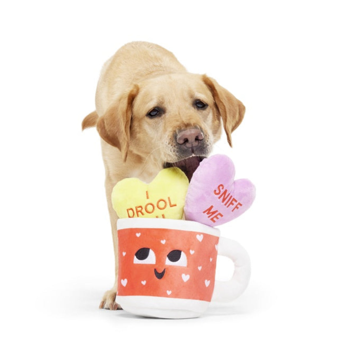 Mugs n' Kisses Plush Multi-Part + Enrichment Dog Toy