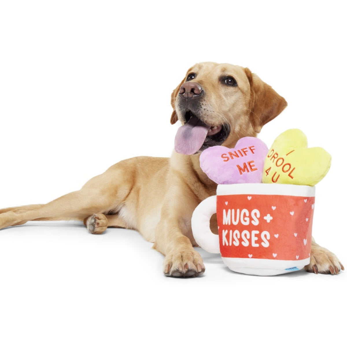 Mugs n' Kisses Plush Multi-Part + Enrichment Dog Toy