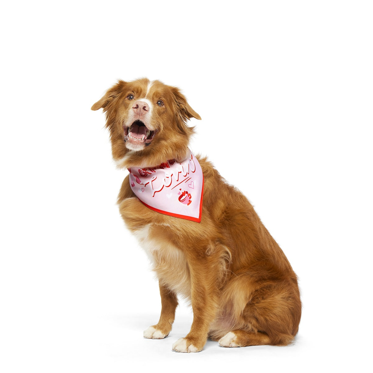 Valentine's Day Dog Bandana