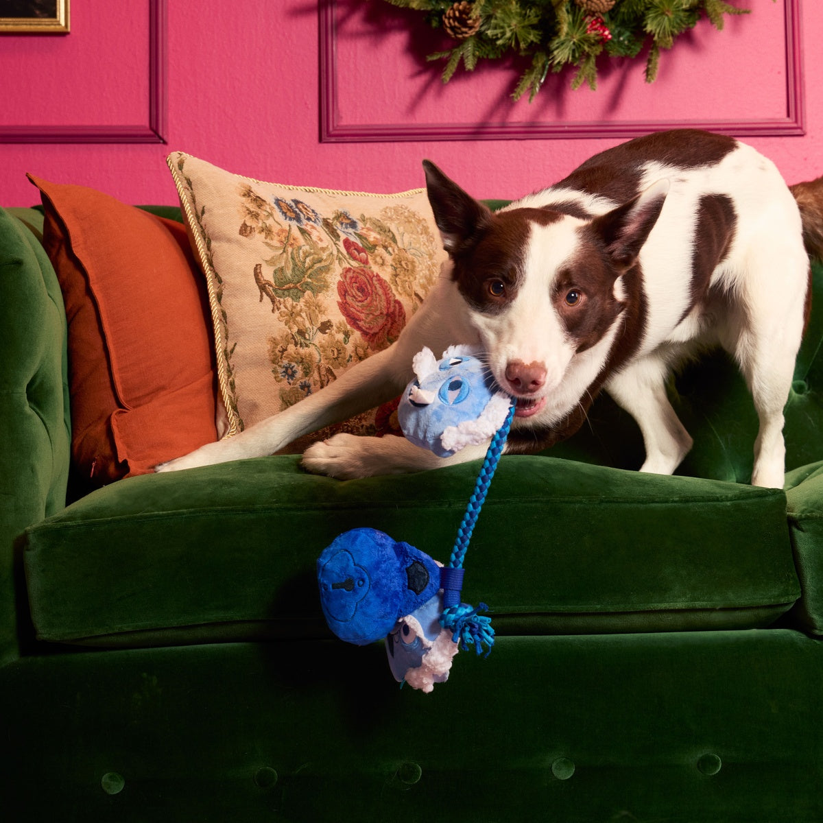 Marley & Gnarley’s Chain