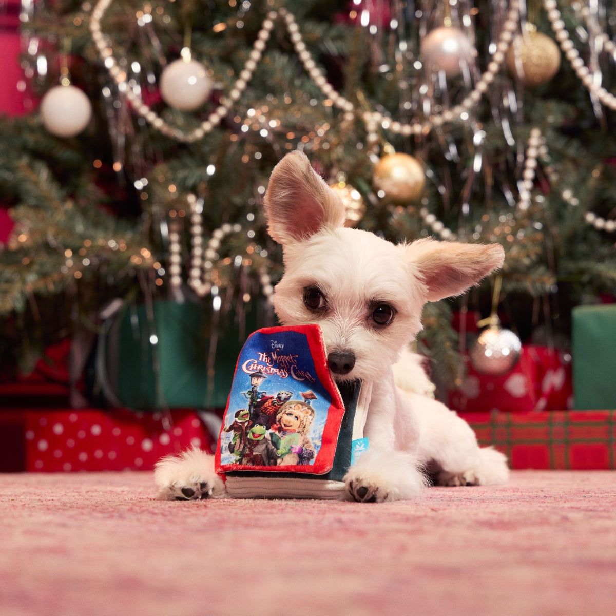 ノースアメリカンベア: Fluffy [A Christmas Carol] The Muppet Christmas Carol Home Video Dog Toy – BARK