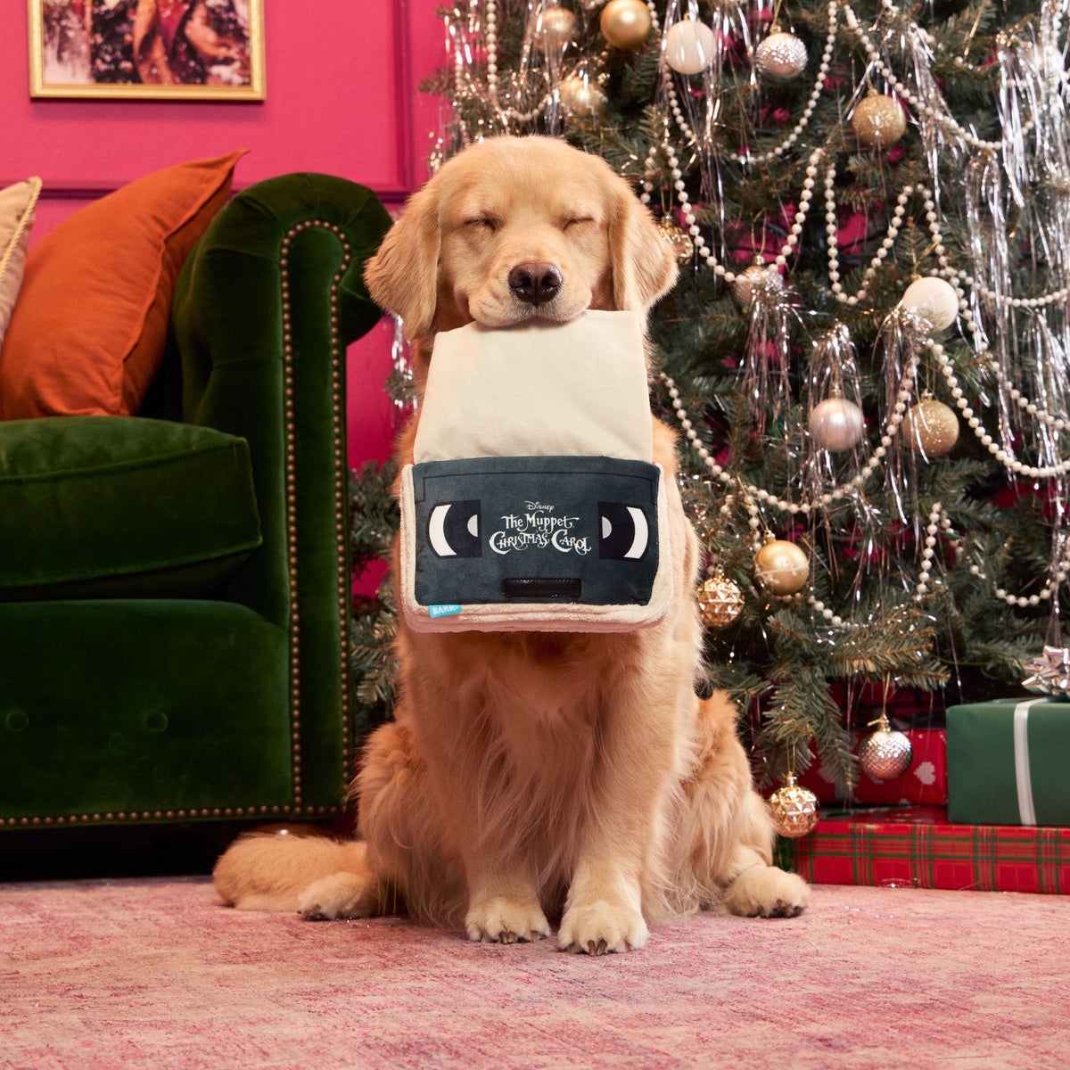 BOX-ATB_216468_THE-MUPPET-CHRISTMAS-CAROL-HOME-VIDEO-M-L_VIOLET_3896_cropped#Size_M/L