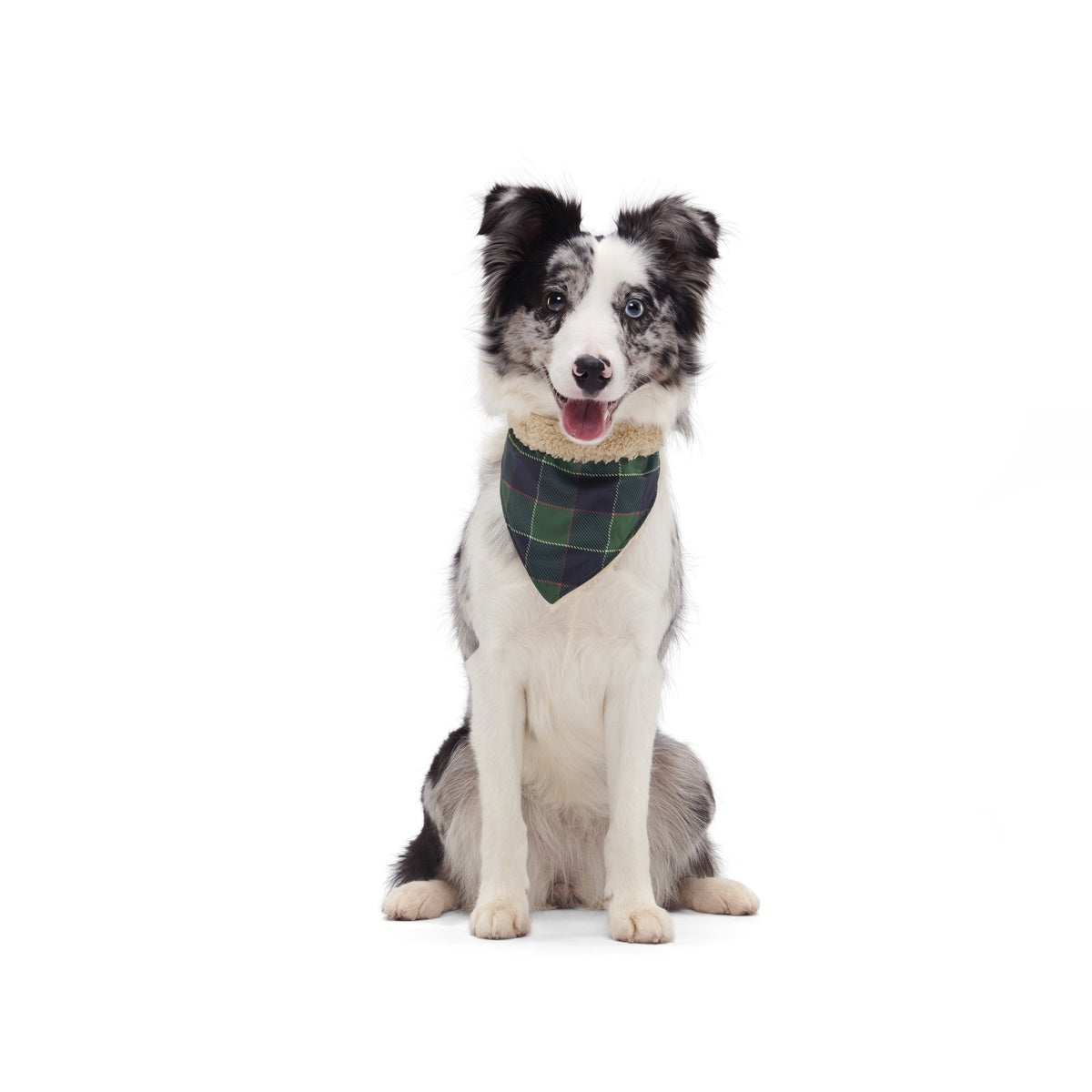 BOX-ATB_PLAID-SEASON-BANDANA-XS-S_215046_1548_cropped#Size_S/M