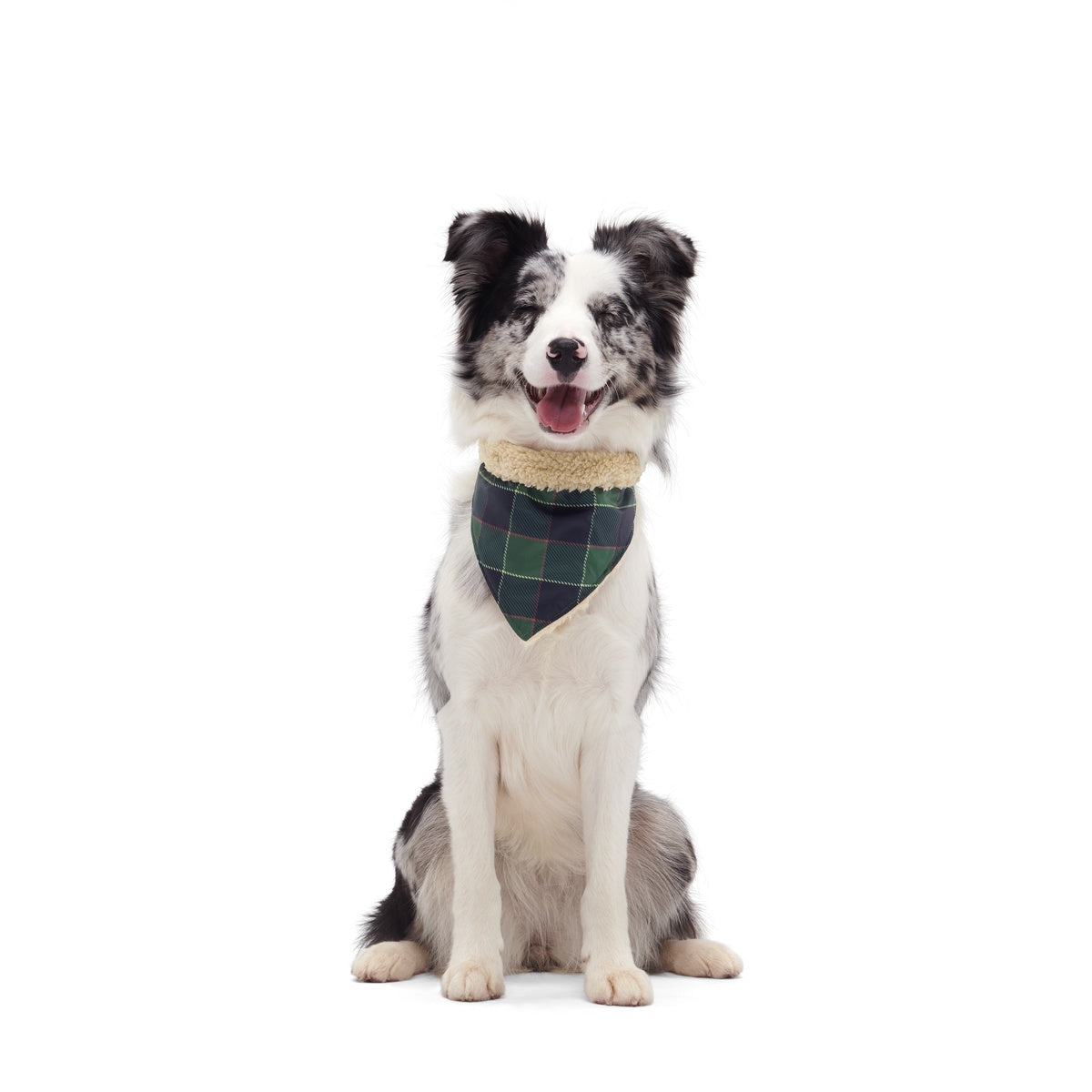 BOX-ATB_PLAID-SEASON-BANDANA-XS-S_215046_1552_cropped#Size_S/M