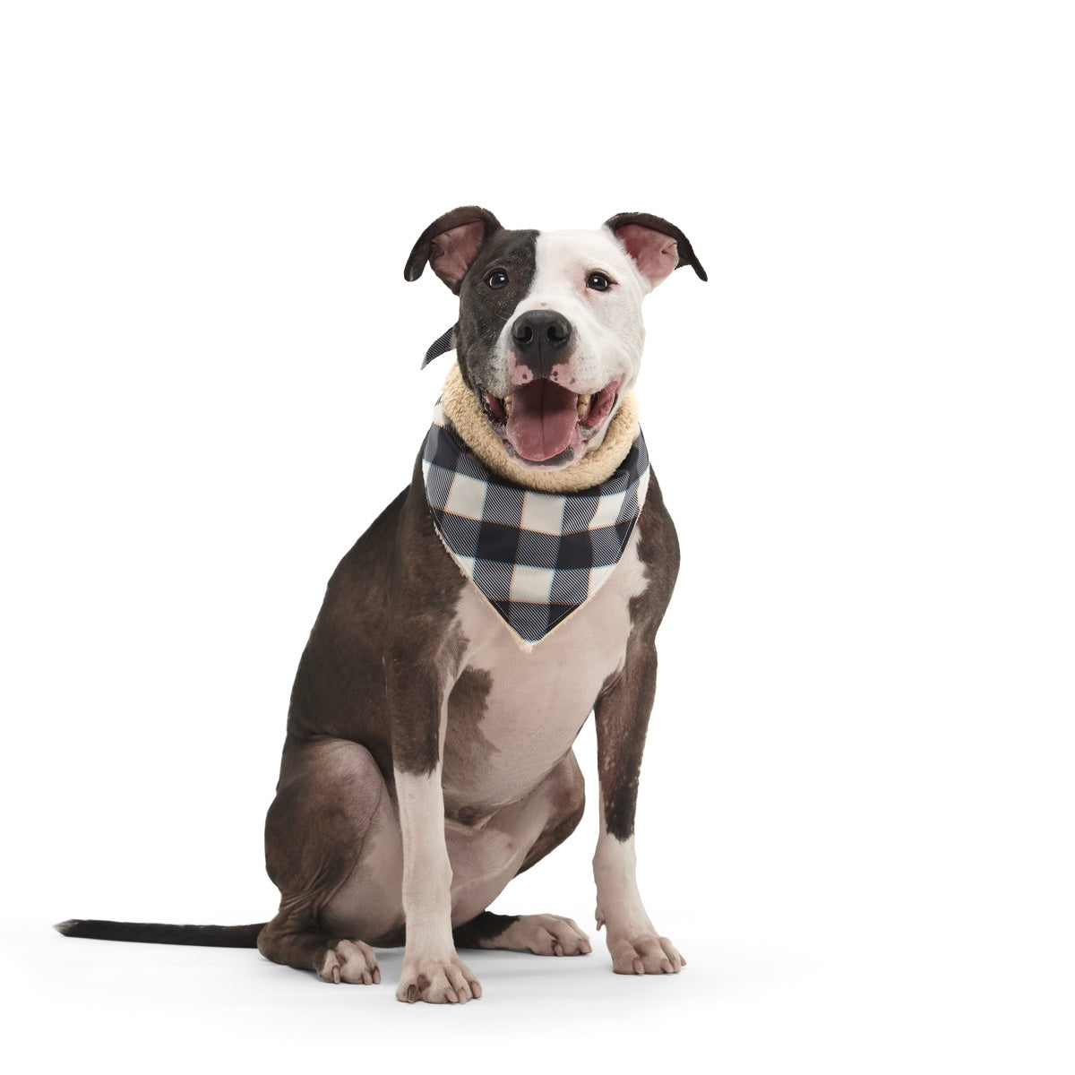 Plaid To The Bone Bandana